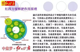 万万没想到，他们才是红四方三大新品肥的幕后专家
